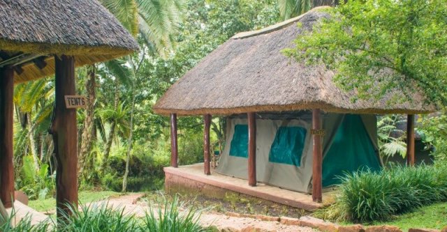 Camping in Uganda Guide